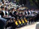 Cal Band / Green Day