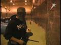 Gangstar Paintball Vlocity Chip