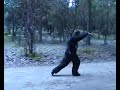 Mei Hua Tang Lang Quan Mei Hua Tang Lang Quan