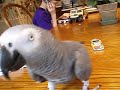 Playtime! Playtime!