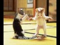 la brujita- felino musical