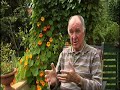 WAMG Interview 2 (Wes)