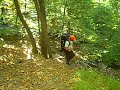 mid state trail hike: nearing detweiler run