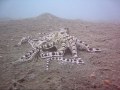 Amazing Mimic Octopus vs Mantis Shrimp Battle