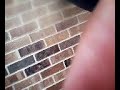 If