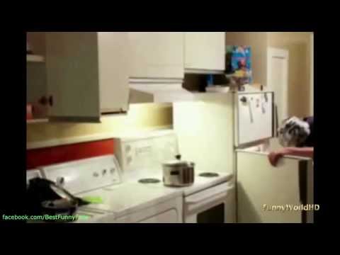Funny Videos - Fail Compilation, Funny Pranks and Funny Cats Videos | New Funny Video #5