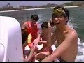 よゐこ動画