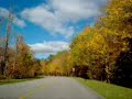 Gatineau Park