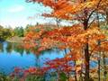 Gatineau Park