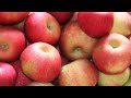 \"sweet jesus\" by selah and jill phillips