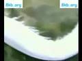 Oh God! we saw a dead Dragon in China