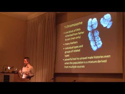 how to get more y chromosomes