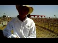Entrevista con Eliel de Santiago, Viticultor de Bodegas la Redonda