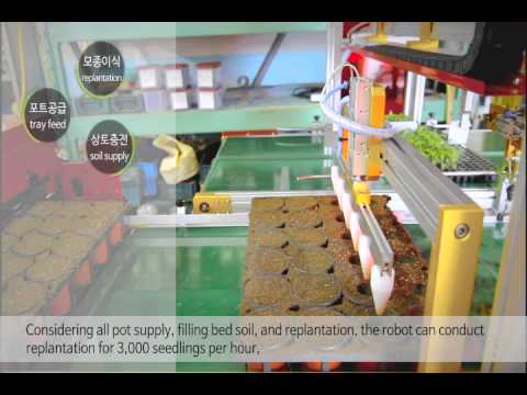 how to transplant flowers from pot to pot