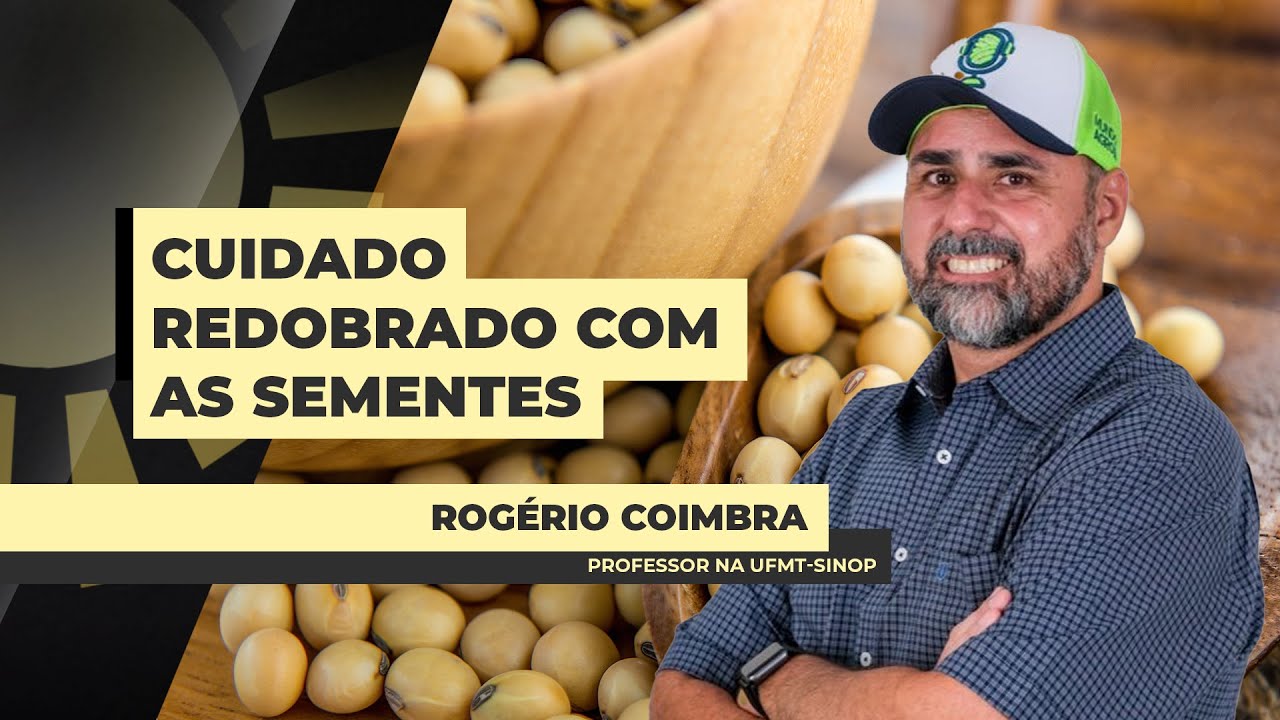 Soja 25/26: Início de plantio deve aguardar por chuvas mais persistentes e volumosas, como...