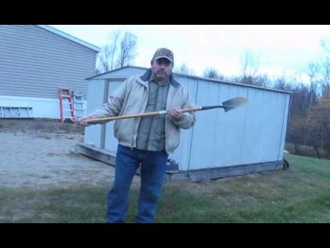 how to replant xmas tree
