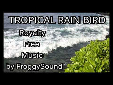 Music for films, videos, movies and more - Tropical Rain Bird - Royalty Free Music istockphoto