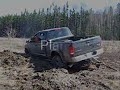 Fun in the Mud