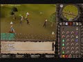 final-dm-roman-vs-cake.html