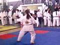 KARATE 2007
