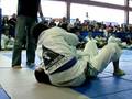 videos de alliance bjj kumite classic 2008