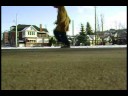 Walk It Out