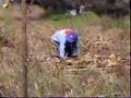 Atenco Una Tierna Muralla Primera Parte