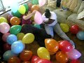 Balloon Fight Balloon Fight