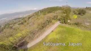 空撮 / 神奈川県松田 菜の花畑