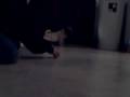 Pug Pees