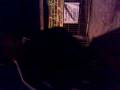 videos de MADE IN BOGI
