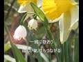 Click here to watch this video すずらんの笑顔