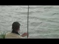 Blackhorse Carp Blackhorse Carp