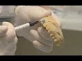 YOTUEL PATIENT 10%, 16%, 22% PEROXIDE CARBAMIDE (RUSSIAN)