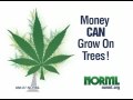 NORML Money Tree Ad for Times Square