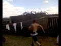 jackass
