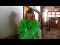 Green Clarinet - That Mitchell and Webb Look
