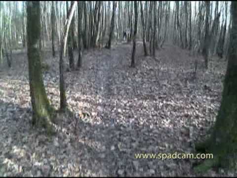 Image de prévisualisation YouTube