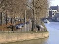 andere intro, Bomen Coolhaven, Rochussenstraat Rotterdam