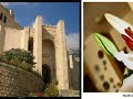 valle-shqiptare-ne-sheshet-italiane-egnatiaorg.html