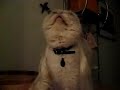 Winston wears wig, sneezes