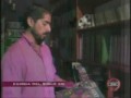 los destellos en el sargento pimienta
