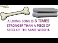 one fun fact about the skeletal system one fun fact about the skeletal system