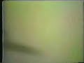 Bad card - Bob Marley and the Wailers