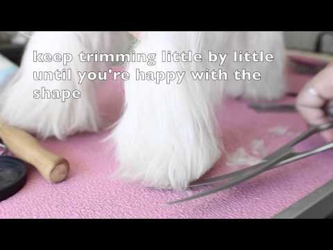 how to trim leg hair