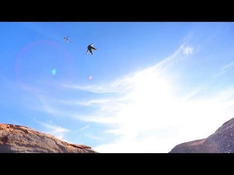 Zipline Catapult - Bluehouse...