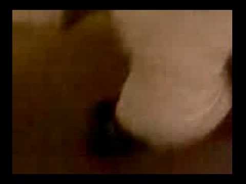 free nude jessica alba pics