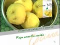 Receta Picante de Zapallito y Choclo 