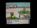 ポケトレで色違いGET!(9)リーシャン