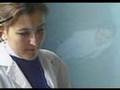 Gültepe Lisesi 24 kasım (2007) öğretmenler günü hediyesi